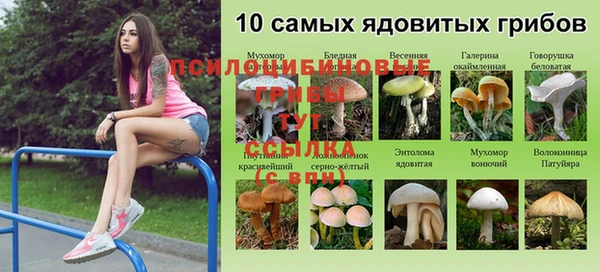 a pvp Алексеевка
