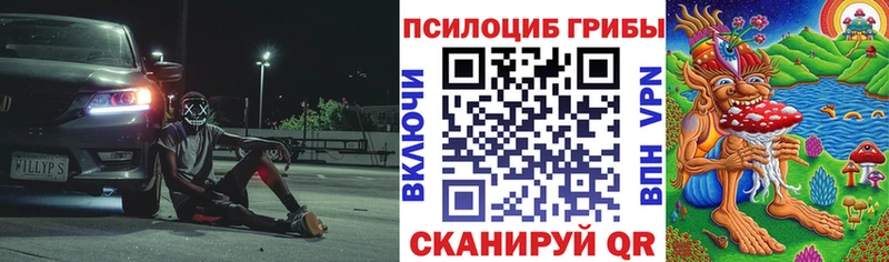 Псилоцибиновые грибы MAGIC MUSHROOMS Слюдянка