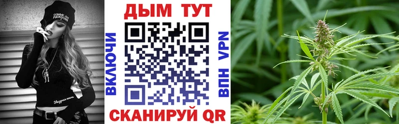 где купить наркоту  Слюдянка  МАРИХУАНА ГИДРОПОН 